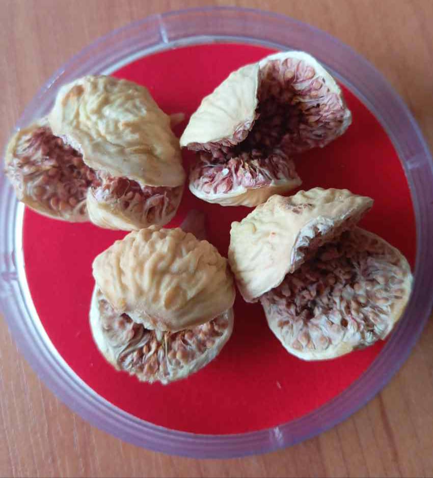 فروش ویژه اینترنتی انجیر خشک + قیمت عادلانه
